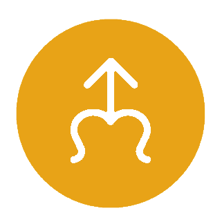 69806990_519800401920502_3596466701543145472_n