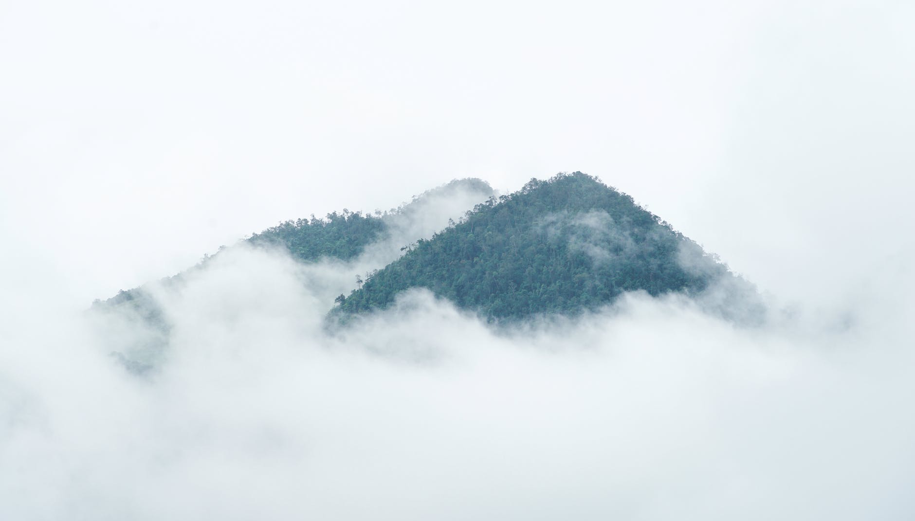fog covering mountains with lush trees